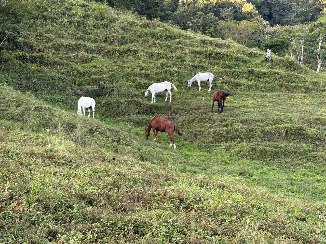 Mountain Tour 12